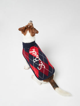 Dog sweater with argyle print - MC2 Saint Barth