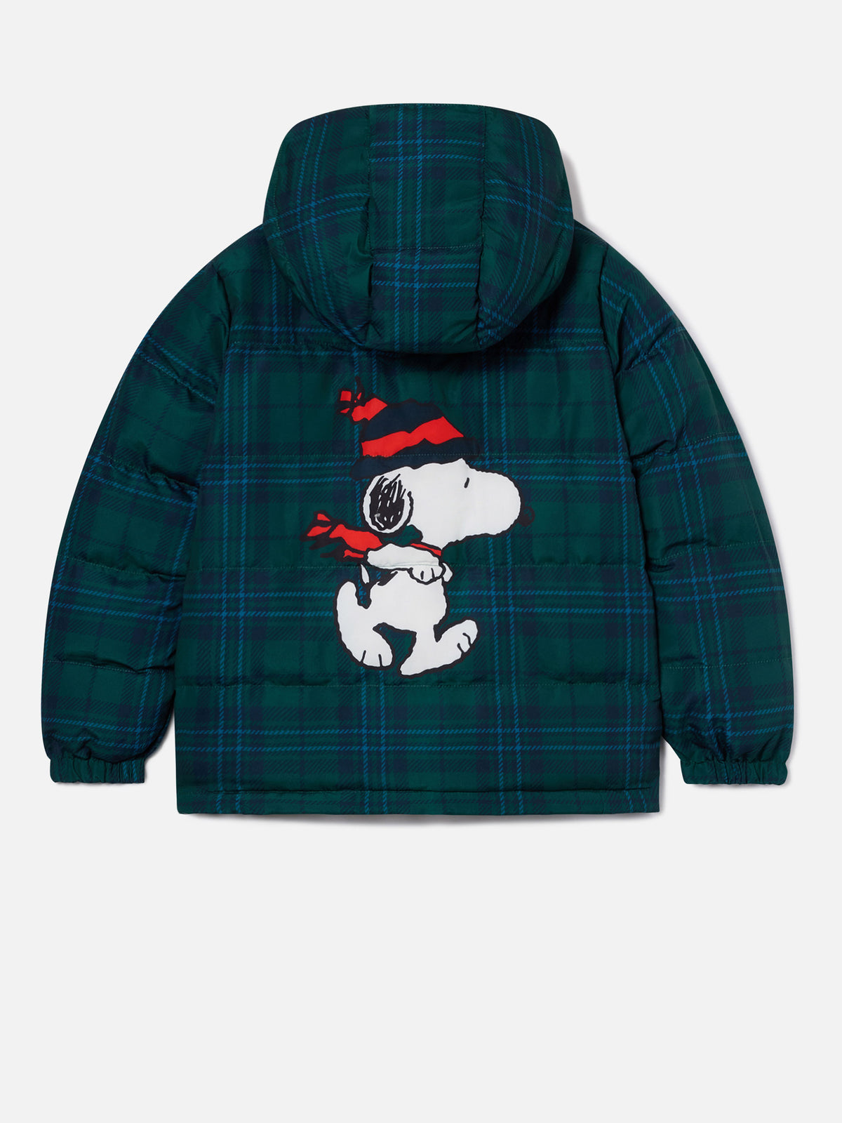 Giacca Baxter verde con stampa Snoopy sul retro | Special edition