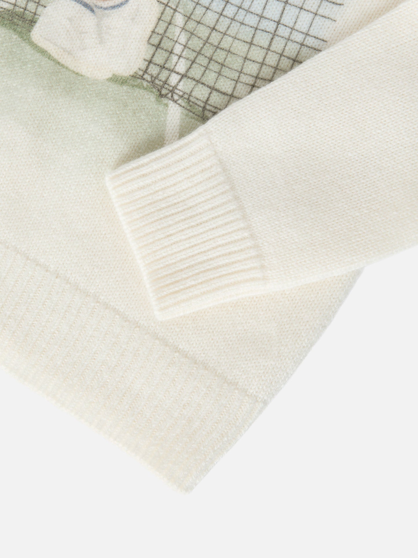 Pullover Douglas mit Teddybär-Print und Stickerei 