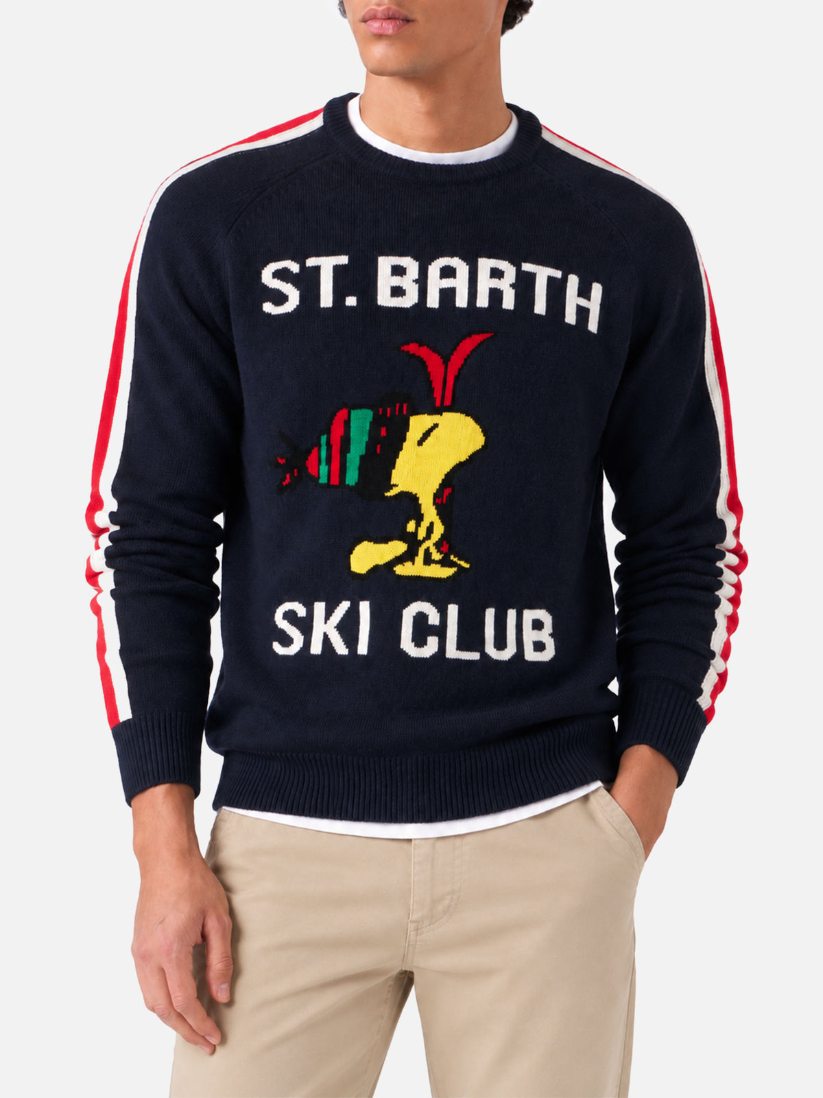 Pull col rond avec jacquard Woodstock | PEANUTS™ SPECIAL EDITION 