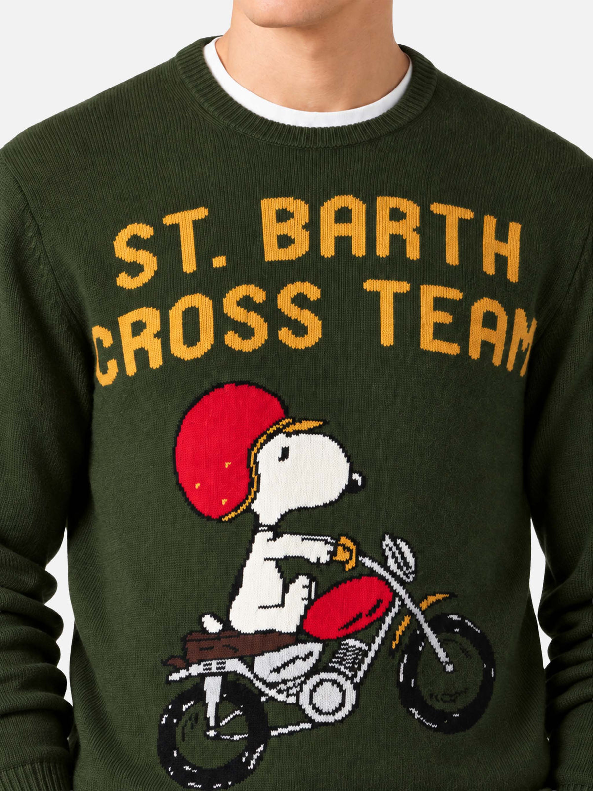 Pull jacquard Heron Snoopy | Édition Spéciale 