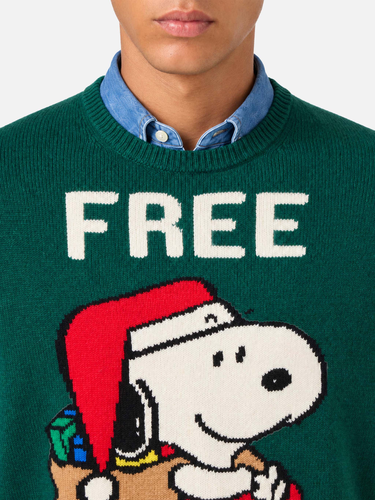 Dark green Heron sweater with Snoopy Free shipping jacquard | Special edition
