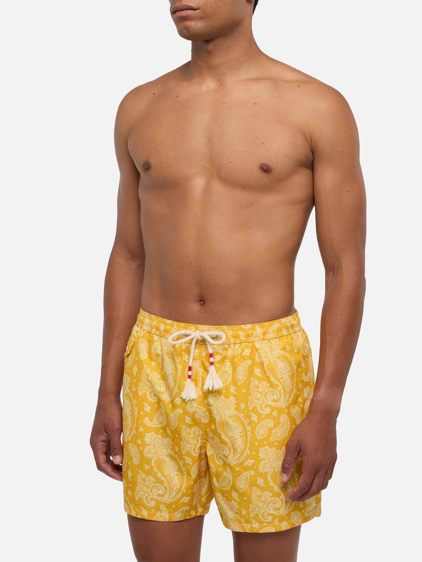 Lighting ochre paisley swim shorts