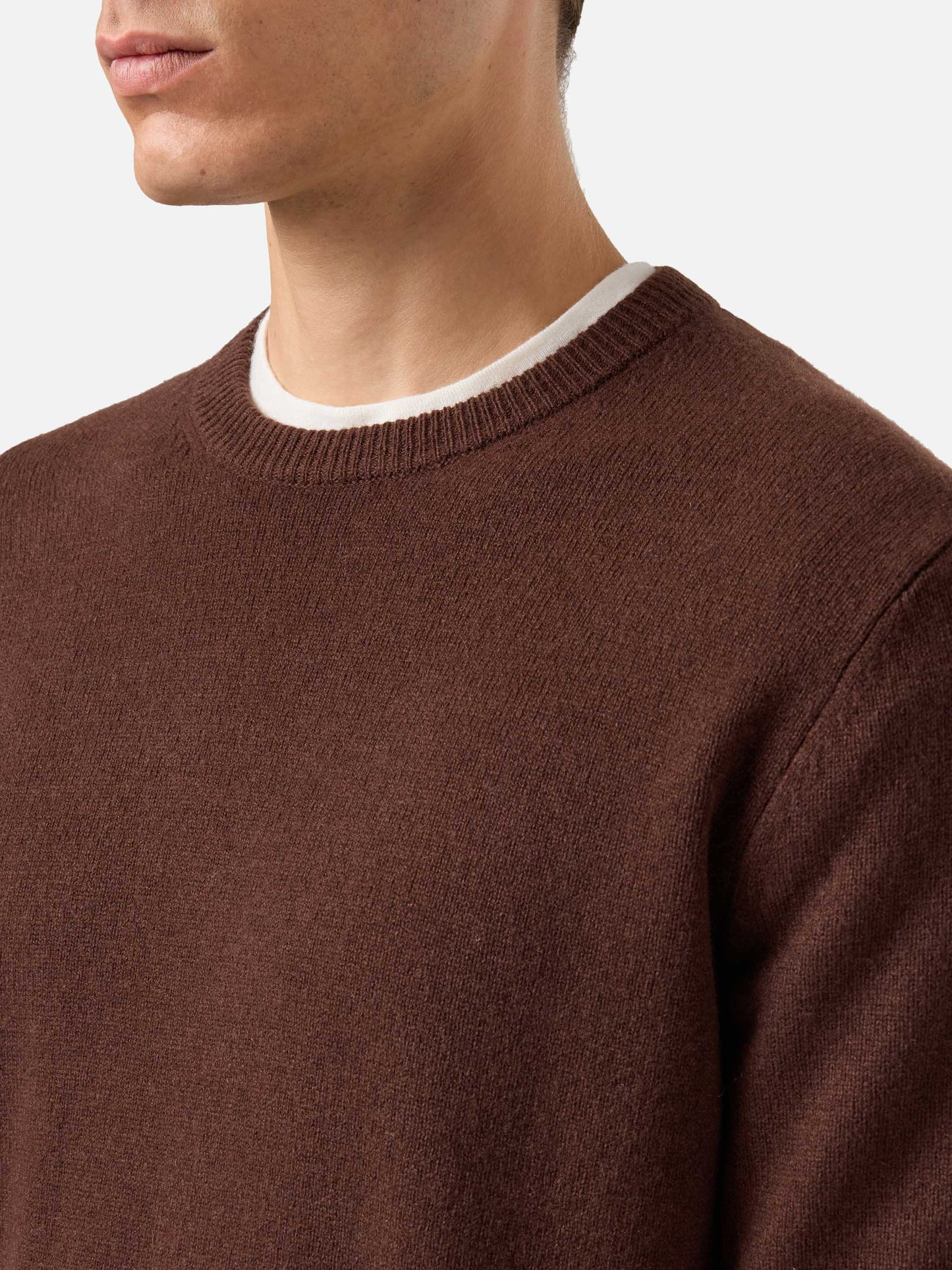 Regent Pullover aus 100 % Lammwolle in Braun