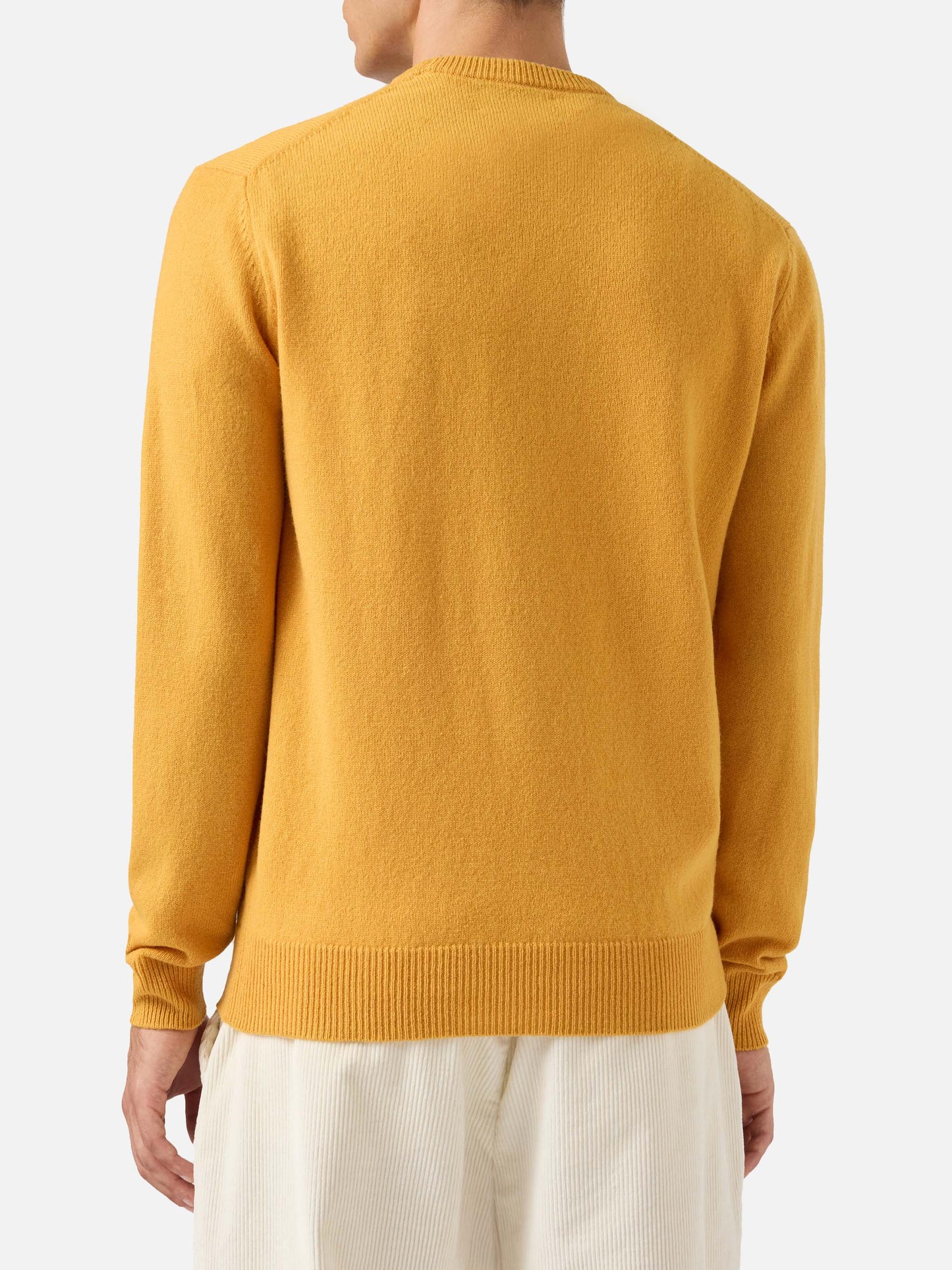 Regent Pullover aus 100 % Lammwolle in Ockergelb