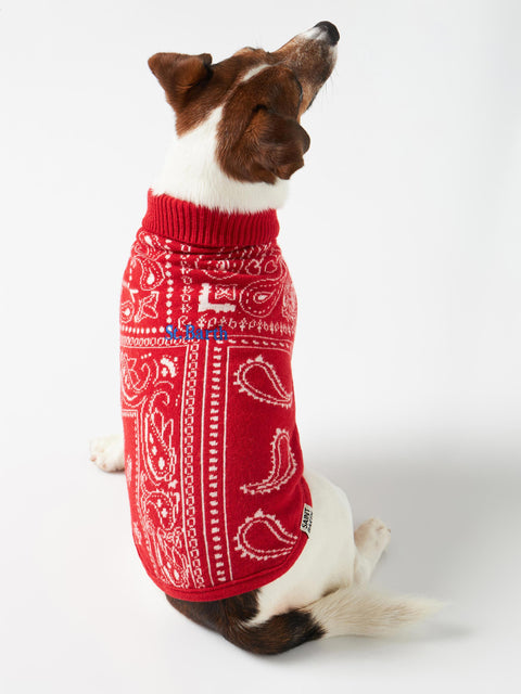 Dog sweater with bandanna jacquard - MC2 Saint Barth
